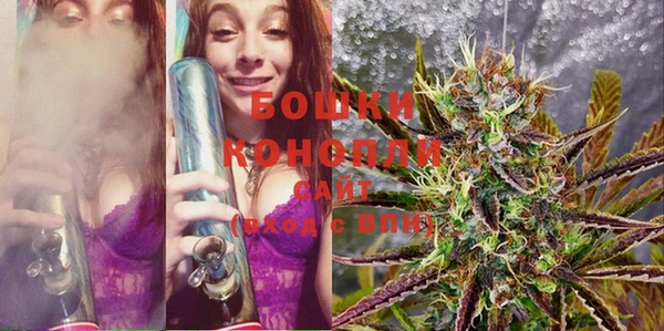 PSILOCYBIN Лиски